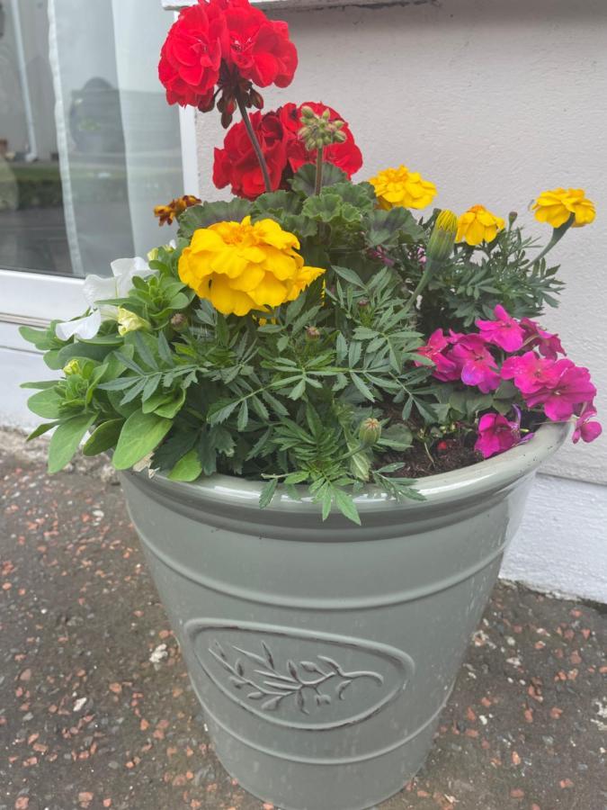 Unique Belfast Stay Екстериор снимка